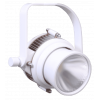 Прожекторы PAR Spotlight BEE25 BA/W Pinspot, LED, 25W -W 